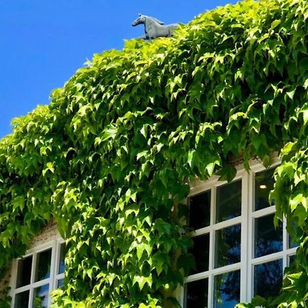 Apartment Gaestehaus Schloss Bothmer シュヴァルムシュテット エクステリア 写真
