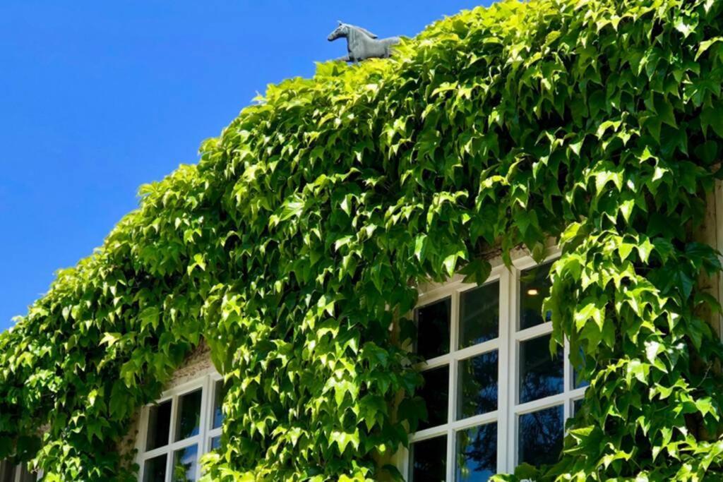 Apartment Gaestehaus Schloss Bothmer シュヴァルムシュテット エクステリア 写真